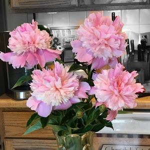 Meet your Posher, Annette